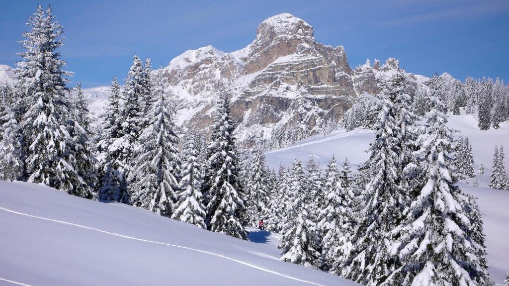 Hotel Ciasa Ai Pini San Cassiano  Eksteriør bilde